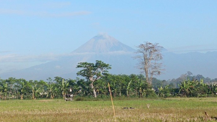 Gunung Semeru Masih Siaga Level III, Tercatat 30 Kali Letusan dalam Enam Jam